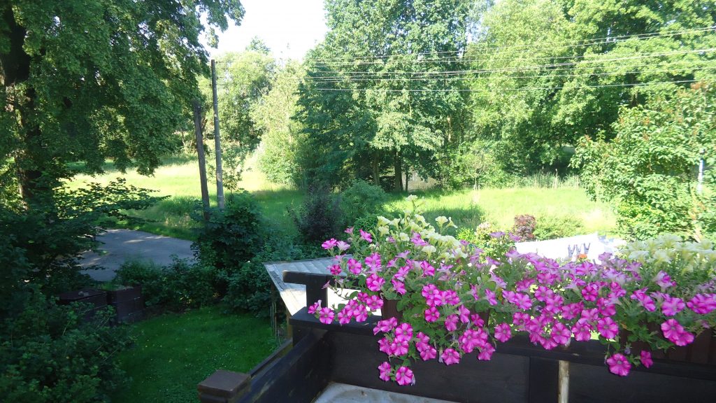 Blick vom Balkon